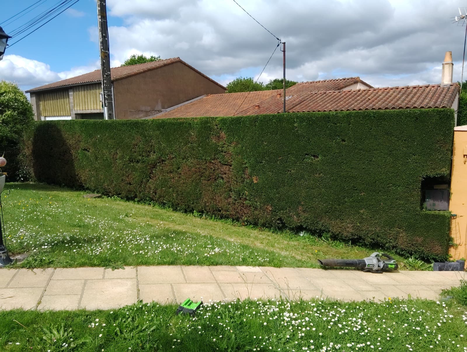 Entretien de jardin paysager par Permapaysage à Vallet