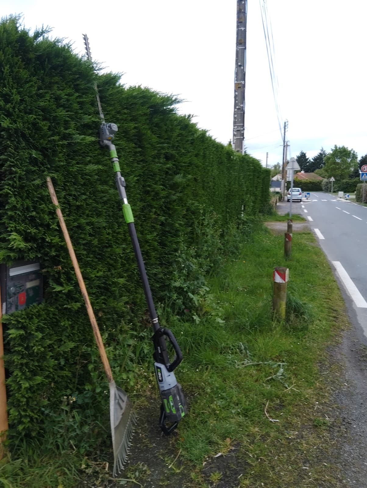 Avant — Taille de haie