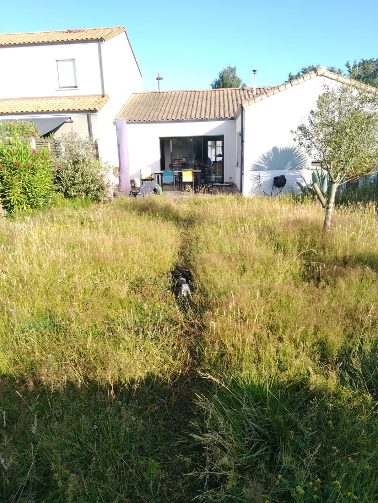 Avant : Remise en état du jardin