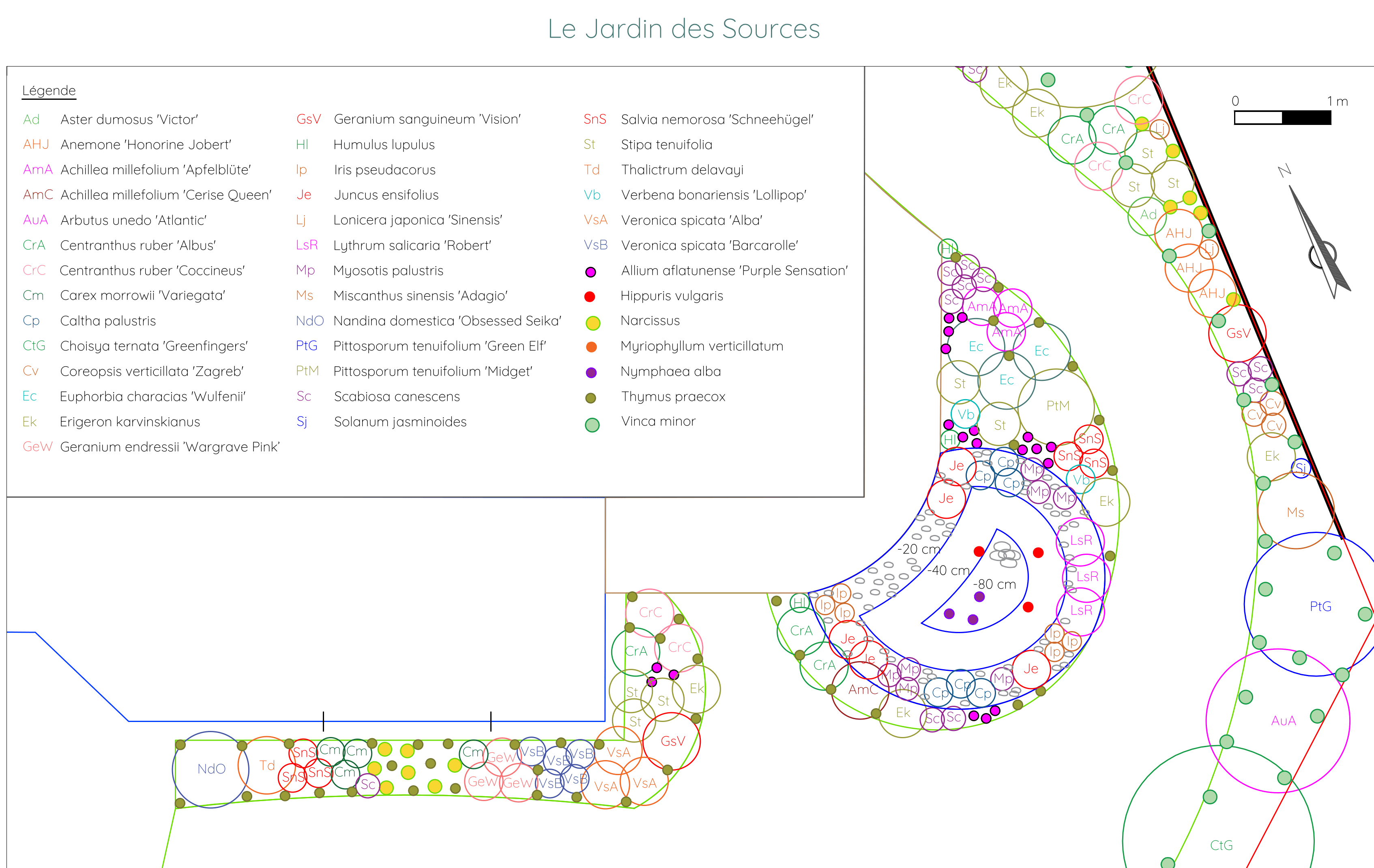 Plan de plantation avec sélection d'essences locales